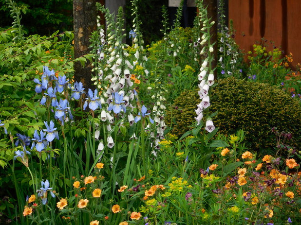 Кантри Сад Chelsea Flower Show 2015 - The Homebase Urban Retreat Garden