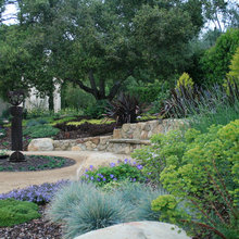 Ca Native Landscapes