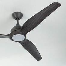 Fans