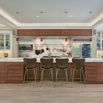 Contemporary Transitional Home