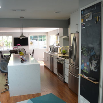 Modern Kitchen Remodel
