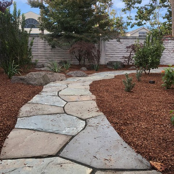 Jane + Eric's Native, Drought Tolerant Garden