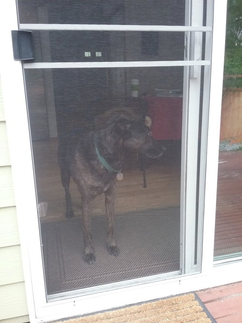 Dog Proof Screen For Sling Glass Doors, Sliding Glass Door Screen With Dog Door