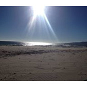 Lynnea Hughes's photo