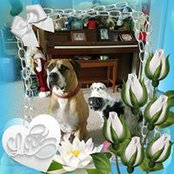 Jennifer DeWitt's photo