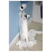 Mary Young's photo
