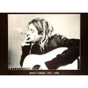 Mohamed Elsharkawy's photo