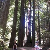 Teresa Morelock's photo