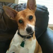Crystal Vick's photo