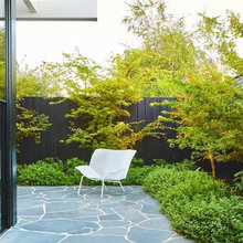 Landscaping Ideas