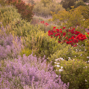 Petaluma Hilltop Garden