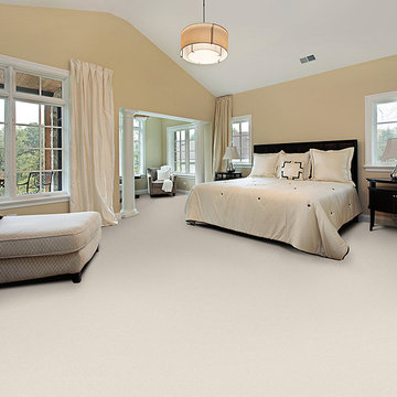 Dabbieri Collection
