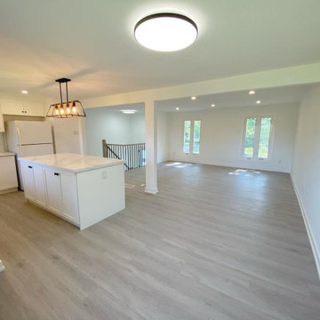 Project Sideroad 17 - Full Home Renovation