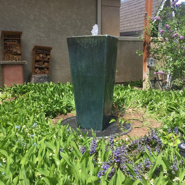 What's Growing in the Garden?