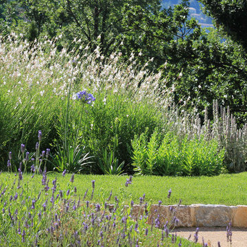 Landscape Designer Cannes | The Scents of Provence