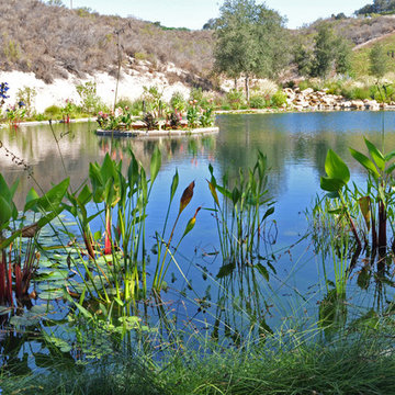 Ranch Reservoir & Nectar Garden w/ BioHaven Floating Island
