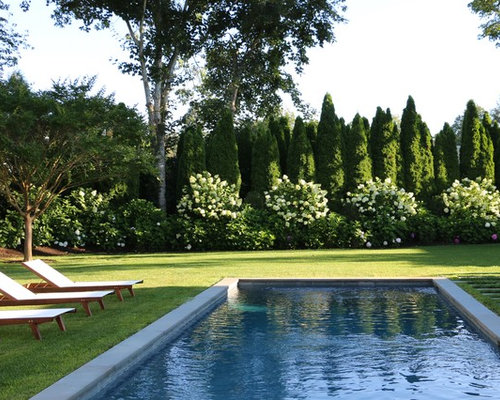 Pool Design Ideas, Remodels & Photos