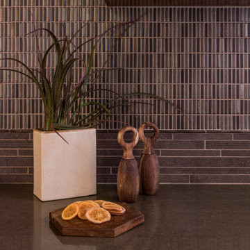 Mid Century Modern Remodel