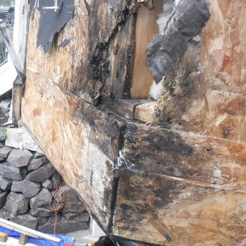 Dry Rot Repair