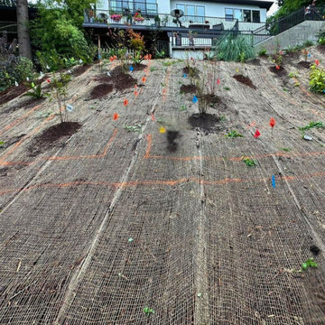 Installing 180 plants