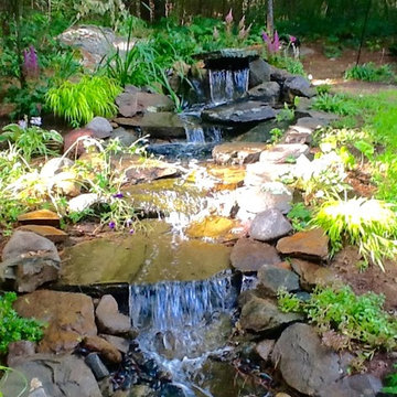 Landscaping Adventures