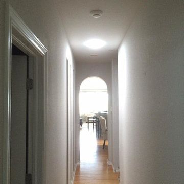 Solatube Skylights