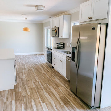 Lithia Full-Home Renovation
