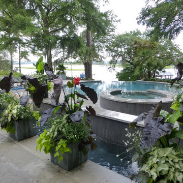 Riverfront Landscape