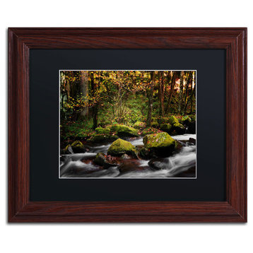 'Eaux Vives in Gerardmer' Matted Framed Canvas Art by Philippe Sainte-Laudy