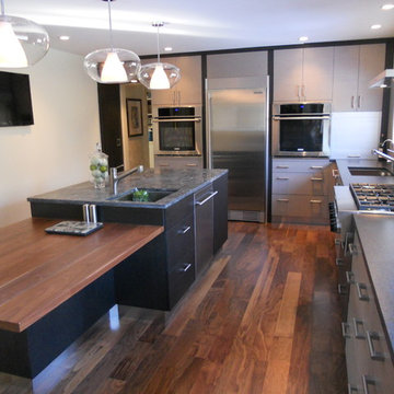 Contemporary Kitchens