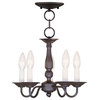 Williamsburgh Convertible Chain-Hang and Ceiling Mount, Bronze