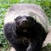 Brian Lemoine's photo