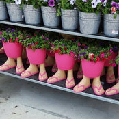flowersdesignss foto