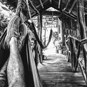Alex Allegro's photo