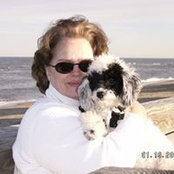 Martha Binner's photo