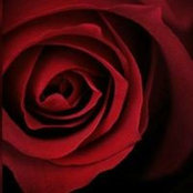 Kelly Smith's photo