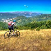 Shai Mohaban's photo