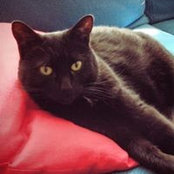 Foto de Cecelia Beyer