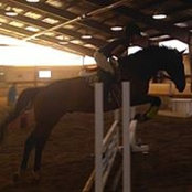Nicole White's photo
