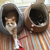 Hazel Griffiths's photo