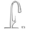 Saybrook Pull-Down Dual Spray Kitchen Faucet 1.5 GPM, Filter, Polished Chrome