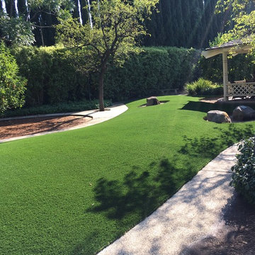 Traditional Backyard Renovation