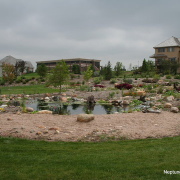 Koi Ponds and Water Gardens