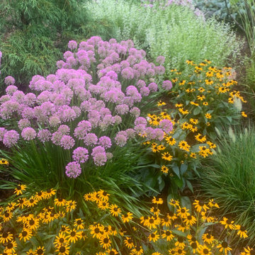 Runciman Display Garden