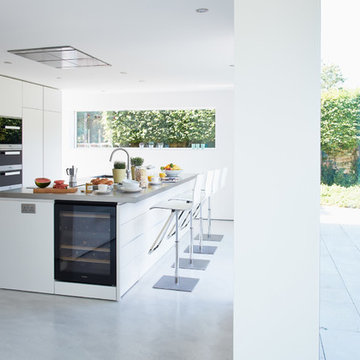 Contemporary Minimalist Kitchen
