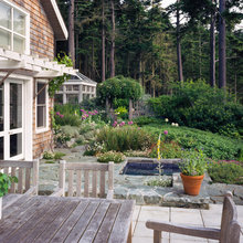 Landscaping Plants