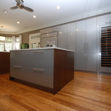Contemporary Remodel