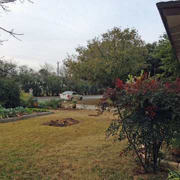 Xeriscape #3
