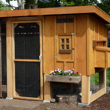 chicken coop