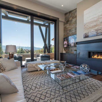 Juniper at Lookout Ridge Promontory by Ledyard Homes.